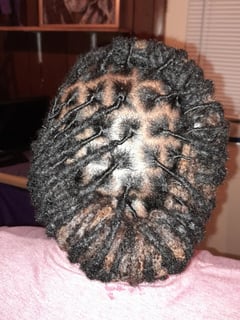 View Hairstyles, Women's Hair, Hair Length, Shoulder Length, Locs, Natural - Taalibah Oseye, Memphis, TN