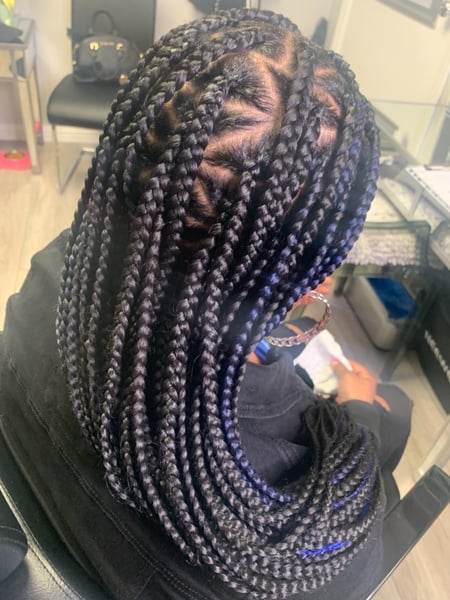 Image of  Braids (African American), Protective, Hair Extensions, Hairstyles