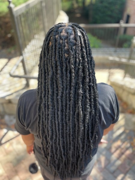 Image of  Hairstyles, Women's Hair, Locs, Protective, Braids (African American)