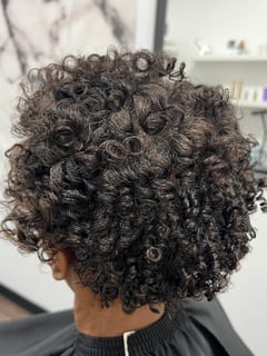 View Natural, Scalp Treatment, Curly, Haircuts, Hairstyles, Curly, Hair Treatment/Restoration, Women's Hair, Hair Length, Short Chin Length, Coily, Protective - Allyssa Denard, Peoria, AZ