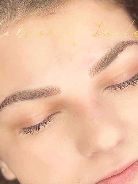 Image of  Brows, Microblading, Nano-Stroke, Brow Technique, Brow Shaping, Arched, Ombré