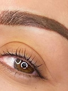 View Arched, Microblading, Brow Shaping, Brows - Brenda Garcia, Houston, TX