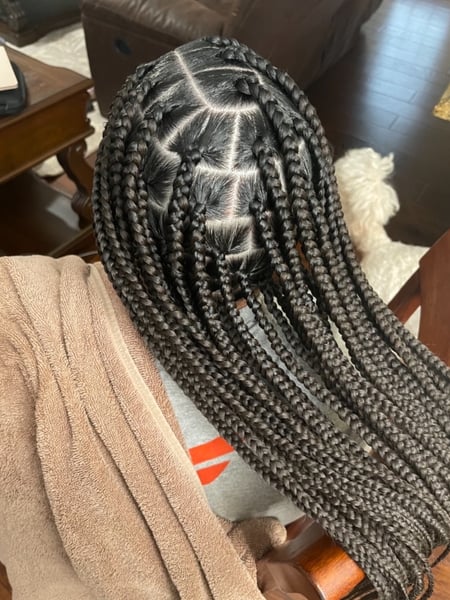 Image of  Hair Texture, 3B, 3C, 4A, 3A, 4B, 4C, 2C, 2A, 2B, Hair Restoration, Braids (African American), Women's Hair, Hairstyle