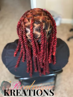 View Hairstyle, Protective Styles (Hair), Locs, Natural Hair, Women's Hair, Hair Extensions - Najah Bourne, Concord, NC
