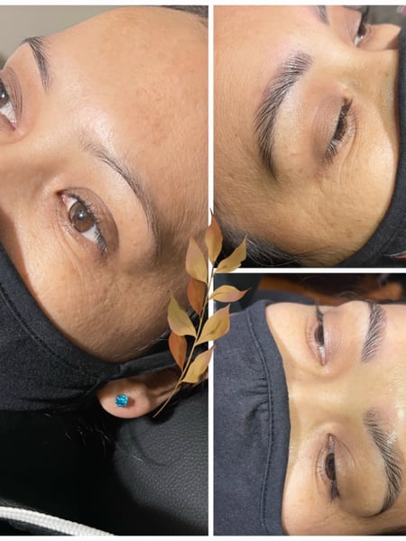 Image of  Brows, Rounded, Brow Shaping, Wax & Tweeze, Brow Technique, Brow Tinting, Brow Lamination