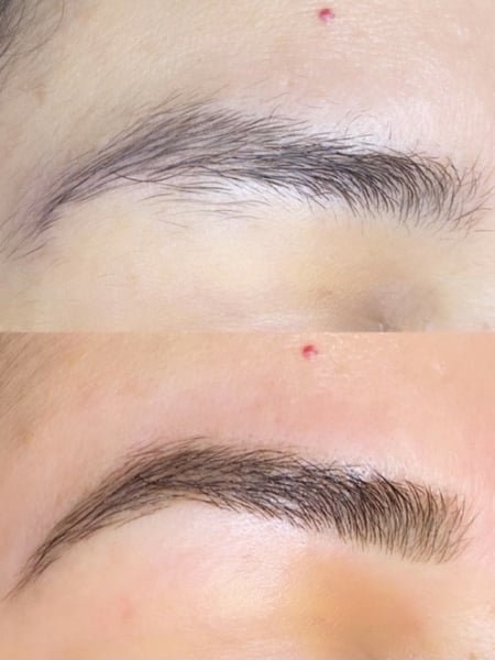 Image of  Brows, Brow Shaping, Wax & Tweeze, Brow Technique, Arched, Brow Tinting