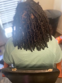 View Haircuts, Blunt, Bob, Hair Texture, Natural, Braids (African American), Protective, Locs, Hair Extensions, Women's Hair, Hairstyles - Anjel Fuller, Madison, TN