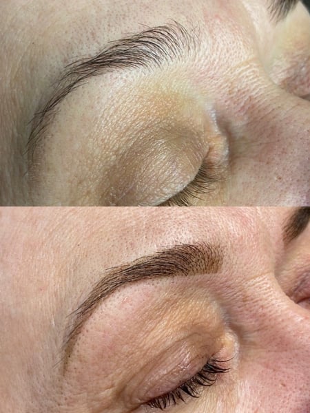 Image of  Brows, Arched, Brow Shaping, Steep Arch, Wax & Tweeze, Brow Technique, Brow Tinting, Brow Sculpting