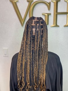 View Braids (African American), Hairstyle, Protective Styles (Hair), Natural Hair - Victoria Edwards, Atlanta, GA