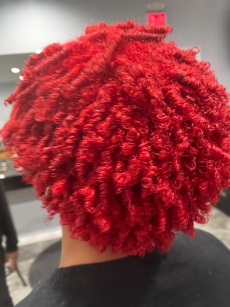 Image of  Women's Hair, Red, Hair Color, Natural, Hairstyles, Protective, 4A, Hair Texture, 4B