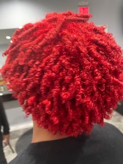 View Hair Color, 4B, Hair Texture, 4A, Protective, Hairstyles, Natural, Red, Women's Hair - Natily Mayberry, College Station, TX