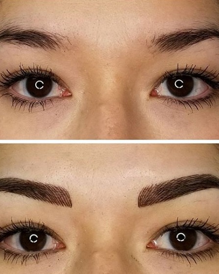 Image of  Brows, Brow Sculpting, Rounded, Brow Shaping, Wax & Tweeze, Brow Technique