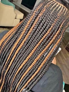 View Hairstyle, Braids (African American) - Lateja Skinner, Houston, TX