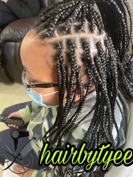 Image of  Kid's Hair, Braiding (African American), Hairstyle