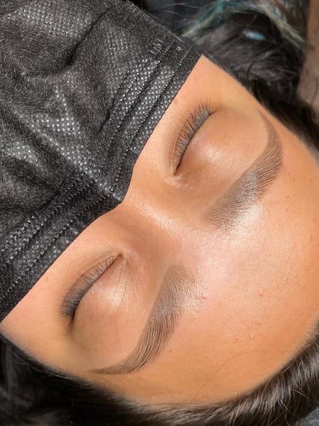 Image of  Rounded, Brow Shaping, Brows, Arched, Steep Arch, Brow Tinting, Wax & Tweeze, Brow Technique, Brow Lamination, Brow Sculpting