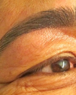 Image of  Brows, Brow Shaping, Arched, Brow Tinting
