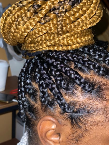 Image of  Women's Hair, Blonde, Hair Color, Black, Braids (African American), Hairstyles, Protective