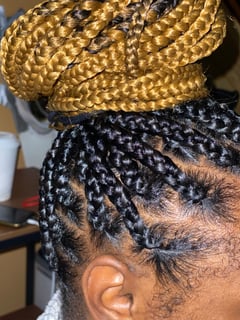View Women's Hair, Blonde, Hair Color, Black, Braids (African American), Hairstyles, Protective - mikela alexander, Harrisburg, PA