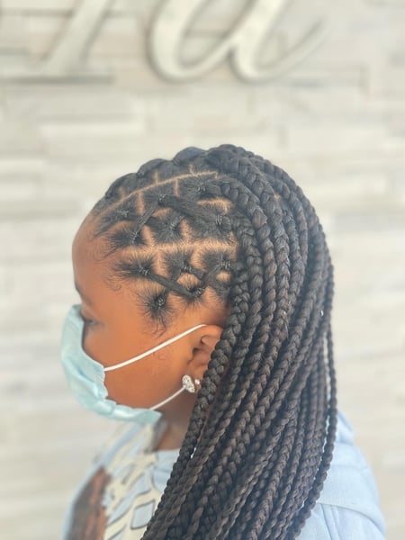 Image of  Women's Hair, Hairstyles, Braids (African American), Natural, Protective