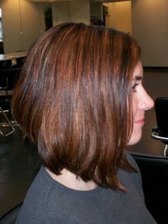 View Women's Hair, Hair Color, Brunette, Highlights, Haircuts, Bob, Straight, Hairstyles - Heather Long, Noblesville, IN