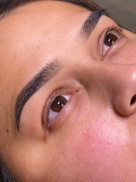 Image of  Brows, Brow Shaping, Brow Technique, Brow Sculpting, Microblading, Ombré