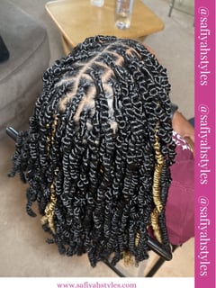 View Women's Hair, Black, Hair Color, Protective Styles (Hair), Hairstyle - Tia Muhammad, Alexandria, VA