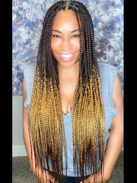 Image of  Braids (African American), Hairstyles