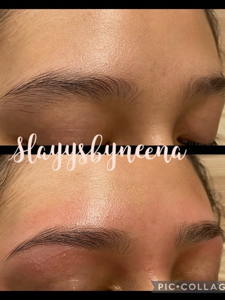 Image of  Brows, Straight, Brow Shaping, Wax & Tweeze, Brow Technique