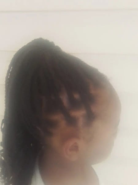Image of  Girls, Haircut, Kid's Hair, Boys, Mohawk, Hairstyle, French Braid, Braiding (African American), Protective Styles