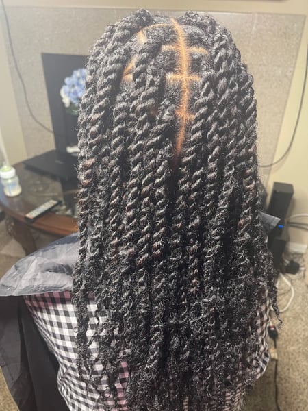 Image of  Braids (African American), Hairstyles, Women's Hair, Natural, 4C, Hair Texture