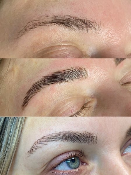 Image of  Brows, Brow Shaping, Arched, Wax & Tweeze, Brow Technique, Brow Sculpting, Brow Tinting, Brow Lamination