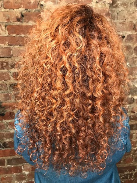 Image of  Women's Hair, Hair Color, Red, Highlights, Full Color, Long, Hair Length, Curly, Haircuts, Coily, Curly, Hairstyles