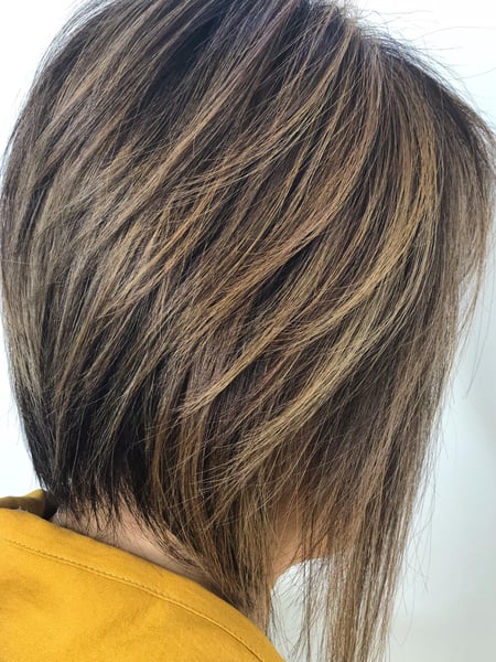 Image of  Women's Hair, Highlights, Hair Color, Blonde, Brunette, Short Chin Length, Hair Length, Bob, Haircuts, Straight, Hairstyles