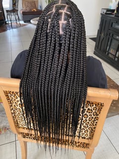 View Braids (African American), Protective, Hairstyles, Women's Hair - Passion Finks, Las Vegas, NV