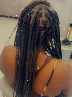 View Women's Hair, Long, Hair Length, Braids (African American), Hairstyles, Hair Extensions - Shay Mcknight, Rochester, NY