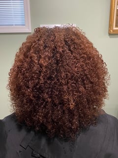 View Curly, Haircuts, Women's Hair, Natural, Hairstyles, Hair Texture, 4A, 4B, 4C, Short Chin Length, Hair Length - Alanna Mateo, Paramus, NJ