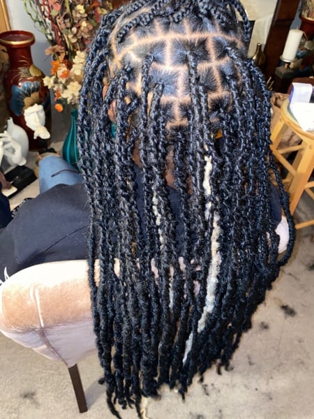 Image of  Women's Hair, Long, Hair Length, Medium Length, Braids (African American), Hairstyles, Locs, Protective, Hair Extensions, Natural, Straight, Weave, Wigs, Updo, Hair Texture, 2C, 3A, 3B, 4B, 2A