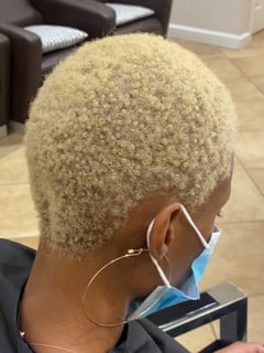 View Women's Hair, Blonde, Hair Color, Shaved, Haircuts, Curly, Hairstyles, Natural - Nicole Centeno, 