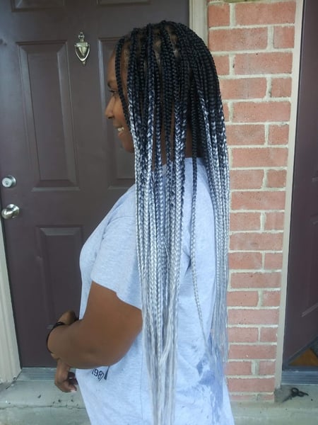 Image of  Women's Hair, Hairstyles, Braids (African American)