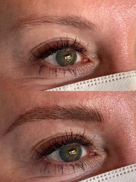 Image of  Rounded, Brow Shaping, Brows, Microblading