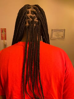 View Braids (African American), Hairstyles, Hair Extensions, Protective - Tyshika Britten, Greenbelt, MD