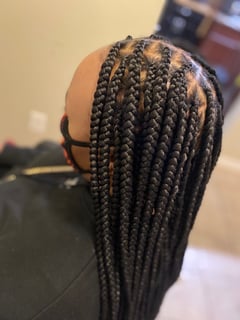 View Braids (African American), Hairstyles, Women's Hair - Zindell Smith, Houston, TX