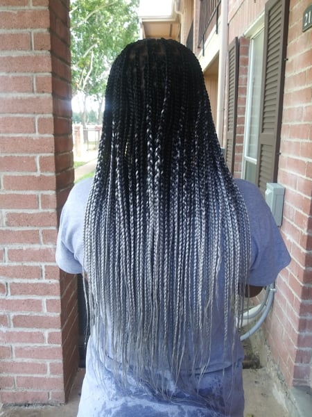 Image of  Women's Hair, Braids (African American), Hairstyle, 4C, Hair Texture