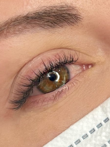 Image of  Eyelash Extensions, Lashes