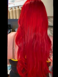View Red, Hair Color, Women's Hair, Fashion Color - Raquel Carini, Forest Park, IL