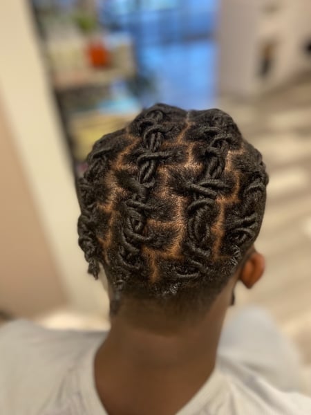Image of  Women's Hair, Locs, Hairstyle
