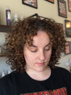 View Haircuts, 3A, 3C, 3B, Curly, Hair Texture, Highlights, Hair Color, Women's Hair, Brunette, Balayage - Aayana Nathan, Baltimore, MD