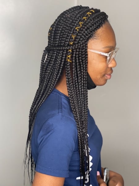 Image of  Hair Texture, 4B, Braids (African American), Women's Hair, Hairstyle