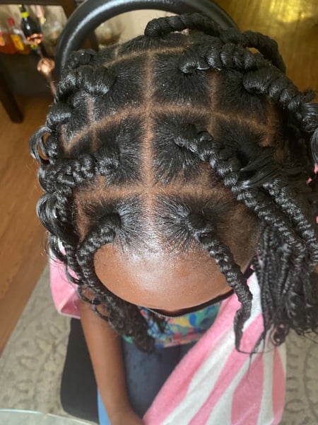 Image of  Natural, Braids (African American), Protective, Hairstyles