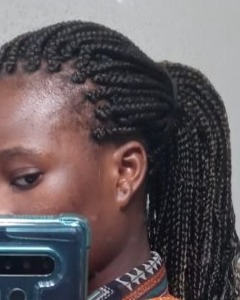 View Braids (African American), Hairstyle, Women's Hair, Blowout - Tinuade Bakare, Houston, TX